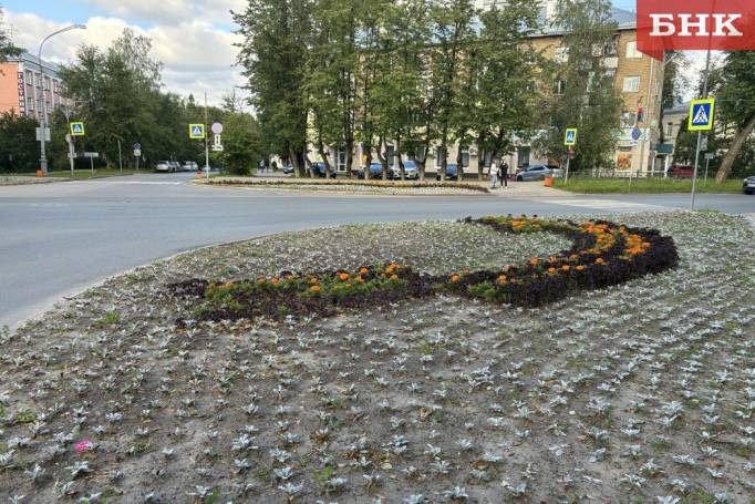 Цветников в Сыктывкаре станет еще больше