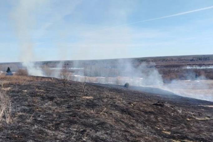 В Усть-Выми пожарные тушили сухую траву