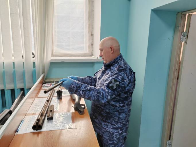 Житель Инты нашел в лесу и заброшенном доме два ружья