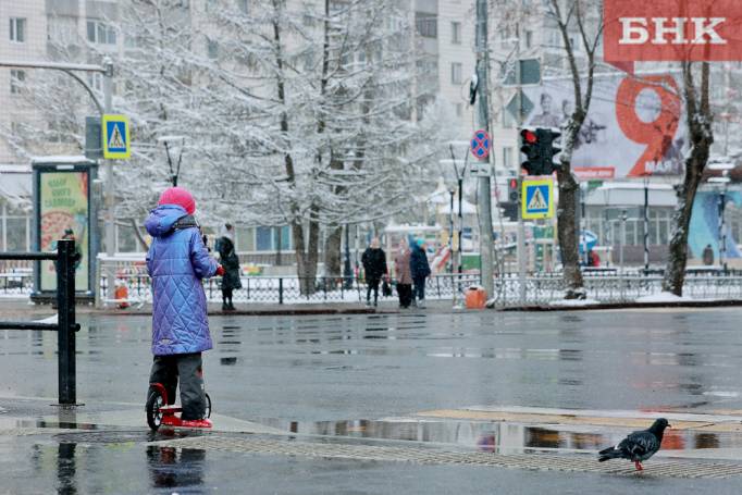 Первомай в Коми будет прохладным и дождливым