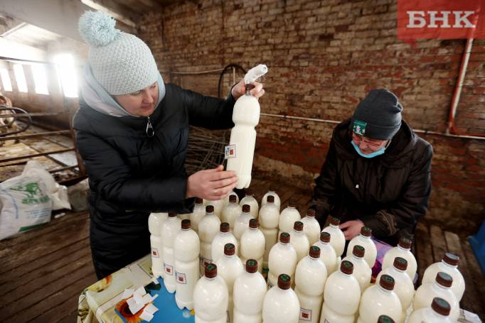 «Мы уже просто не выдерживаем»: производители молока в Коми попросили повысить закупочные цены