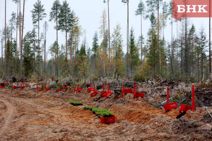 BOB_1116.jpg BOB_1116.jpg