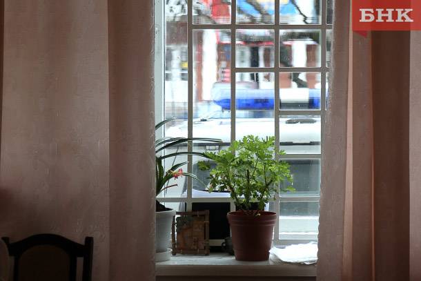 Тайник в цветочном горшке «привел» сыктывкарца в колонию строгого режима