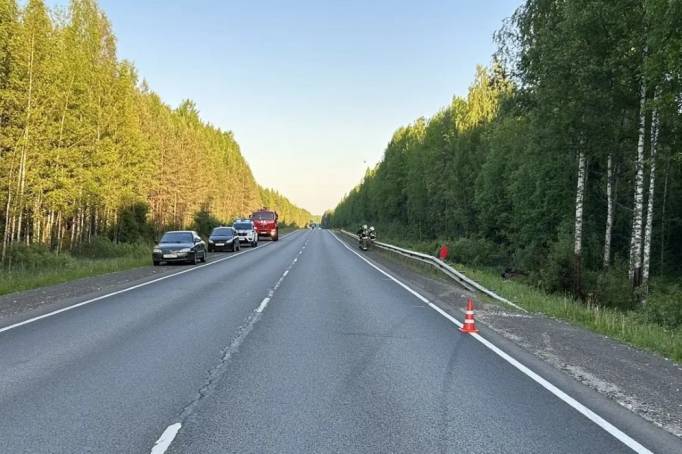 В Прилузском районе пьяный водитель ВАЗа улетел в кювет