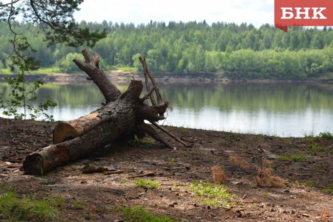 Очередной нежаркий летний день ждет Коми