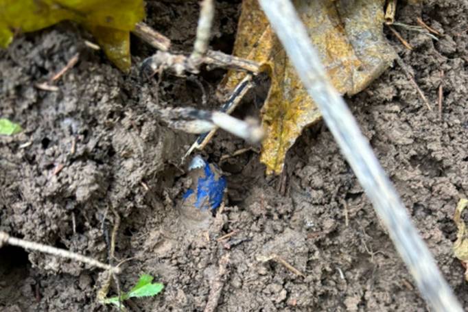 nar2-800x600.jpg nar2-800x600.jpg