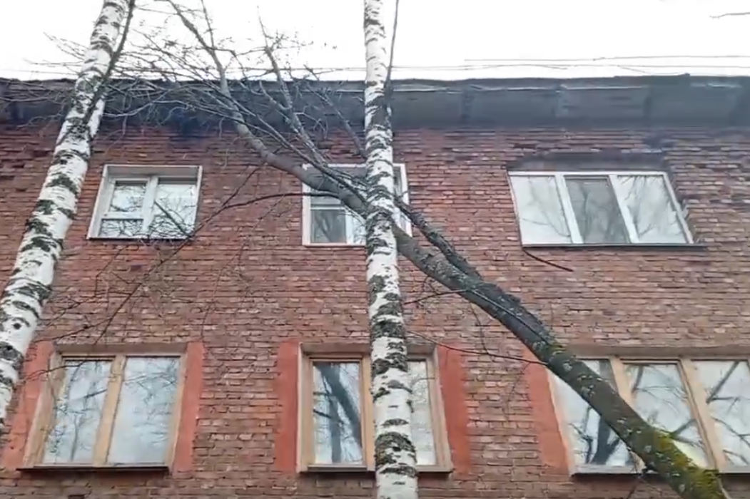 Народный корреспондент: «В Печоре веткой дерева повредило дом»