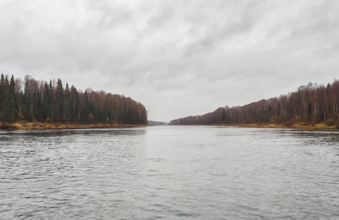 На реке Вымь у рыбаков изъяли запрещенные предметы