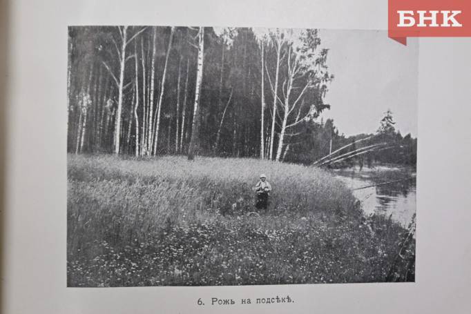 Z06_0052.jpg Z06_0052.jpg