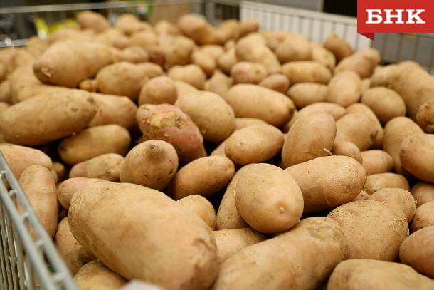 В Коми заметно вырос в цене картофель