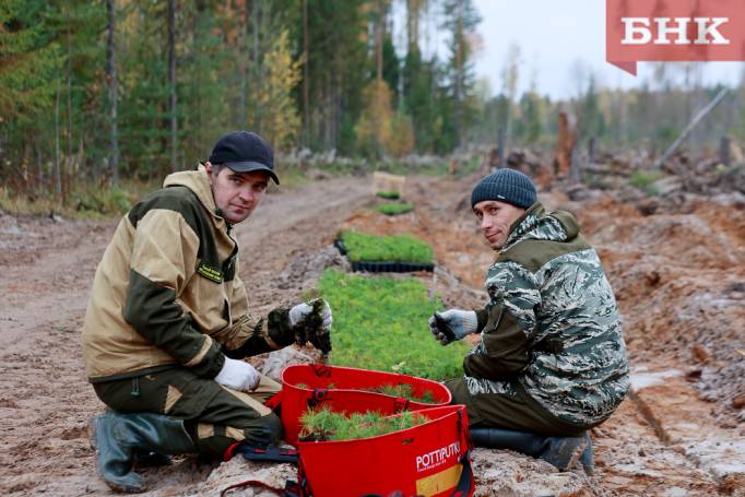 BOB_1317.jpg BOB_1317.jpg