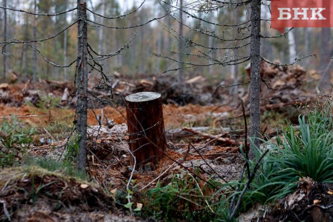 BOB_1198.jpg BOB_1198.jpg