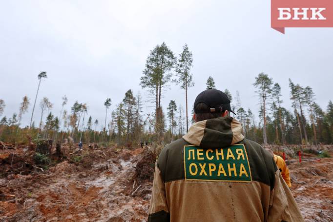 В Коми у лесных инспекторов растет зарплата