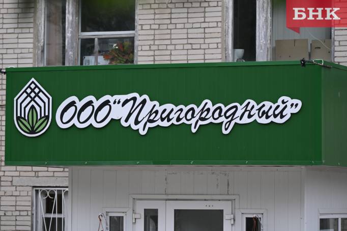«Пригородный» проиграл в споре об отключении электричества в Сыктывкаре