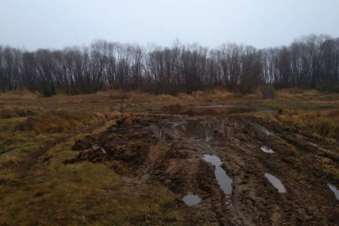 Вывоз песка с берега Сысолы в Сыктывкаре вызвал вопросы у надзорных органов