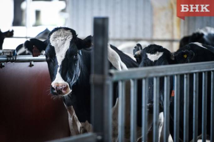 Проекты новых ферм в Коми проходят госэкспертизу