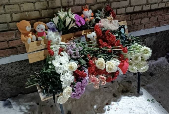 Обвиняемый в убийстве девочки в Инте признался, что стрелял в нее
