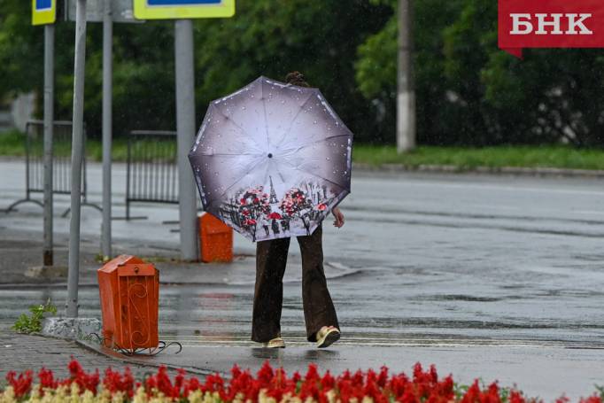 Синоптики предупредили о грозах и ливнях в Коми