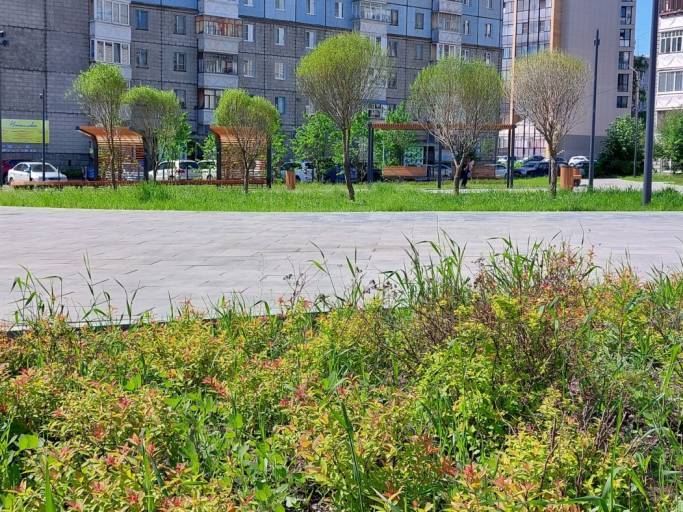 В Сыктывкаре на Яблоневой аллее и улице Орджоникидзе высадят более 550 деревьев и кустарников