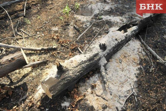 В Коми потушили первый в этом сезоне лесной пожар
