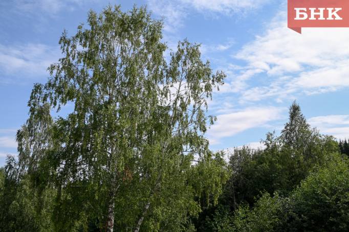 Северный ветер принесет в Коми грозовые тучи