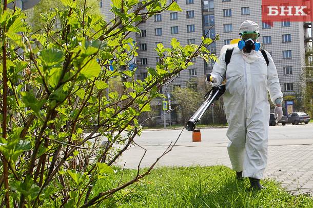 В столице Коми обработают от клещей 39 участков