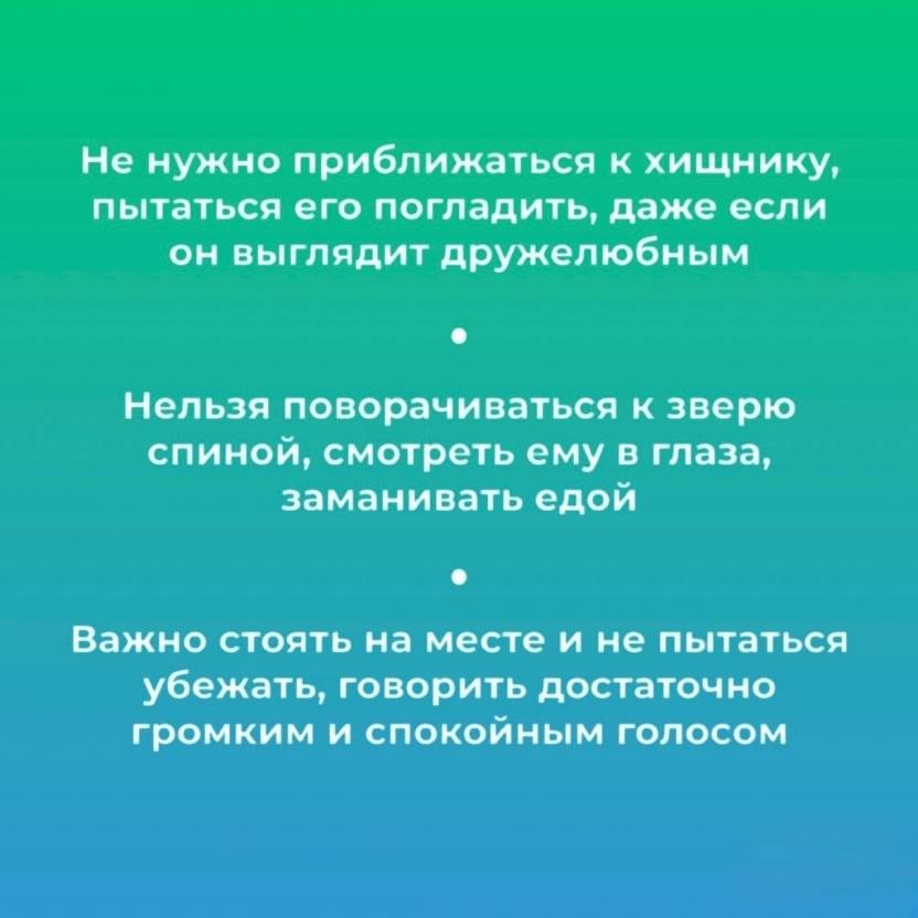 UyXsDMUyap2_7-YwUOvpvC6Gjd4JniG_KOPcx4-B32noY4YyPkp3lHuYjwFkQc4HdlLyJLJx8gO5aJ7fW_nqZmIK.jpg UyXsDMUyap2_7-YwUOvpvC6Gjd4JniG_KOPcx4-B32noY4YyPkp3lHuYjwFkQc4HdlLyJLJx8gO5aJ7fW_nqZmIK.jpg