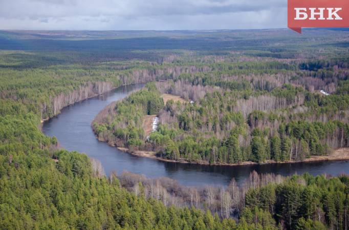 Июньские лесные пожары в Коми стали одними из самых масштабных с 2010 года