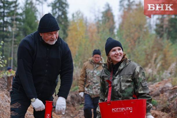 В Прилузье высадили 5 тысяч сеянцев сосны