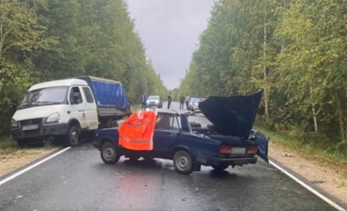 В Сыктывдинском районе в ДТП погибла девочка