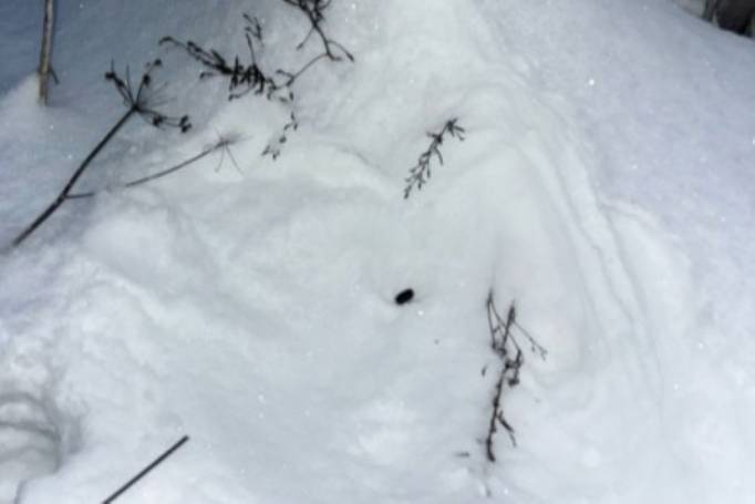 В Ухте полицейские нашли 22 тайника с наркотиками