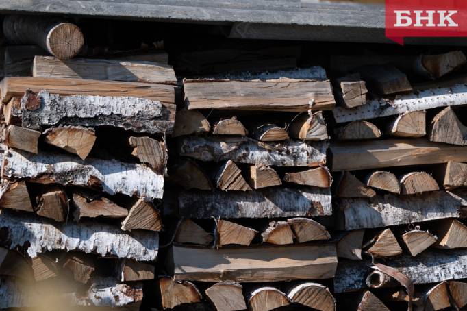 Незаконная рубка леса в Коми сократилась в семь раз