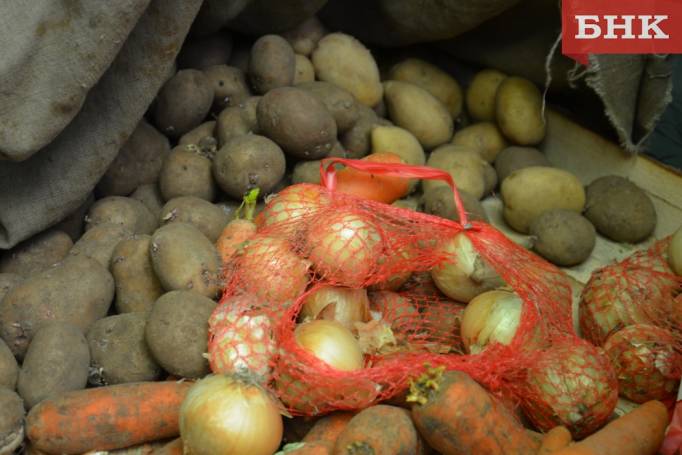 В Коми подсчитали урожай картофеля