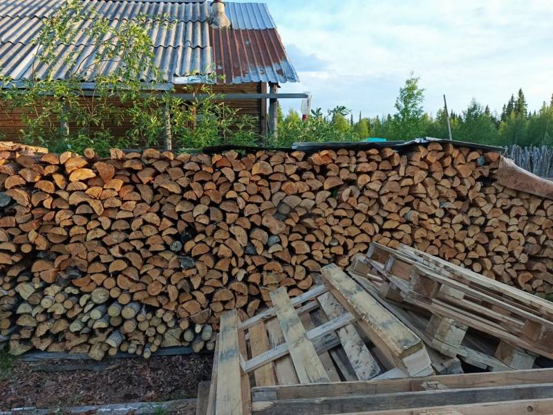 Печорца наказали за вырубку деревьев для расширения дороги на дачу