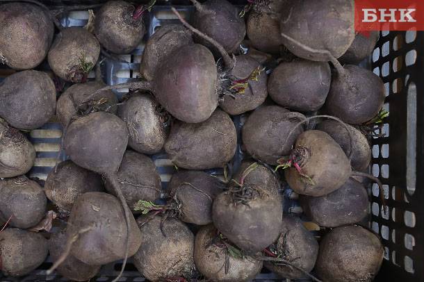 Ученые подсказали, как сберечь «борщевой набор» в городской квартире