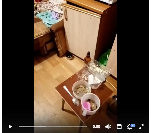 В Эжве четырехлетняя девочка живет с пьющей матерью и питается едой с тараканами