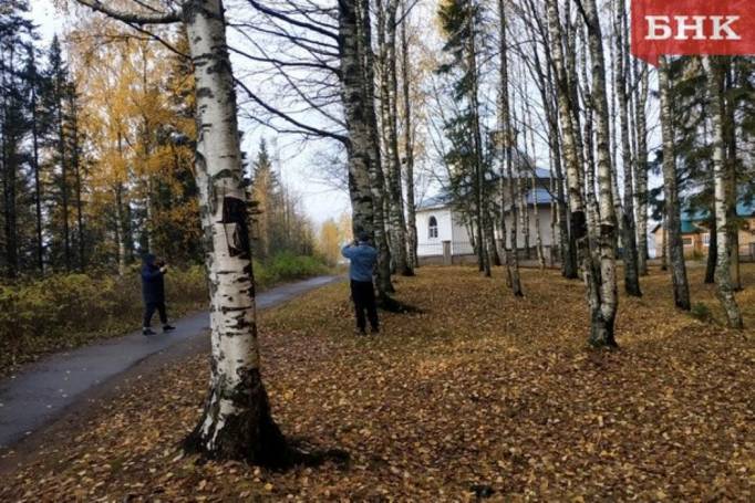 В южных районах Коми сохранится теплая погода