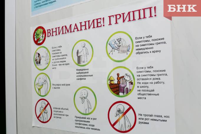 Жителей Коми призывают защититься от гриппа