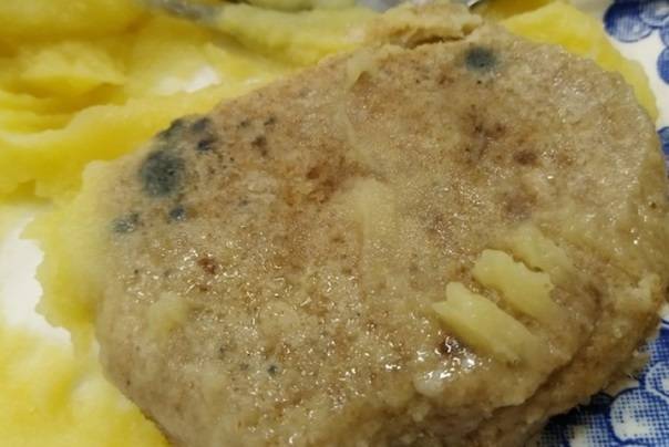 Врач объяснил, что будет, если съесть зеленую плесень