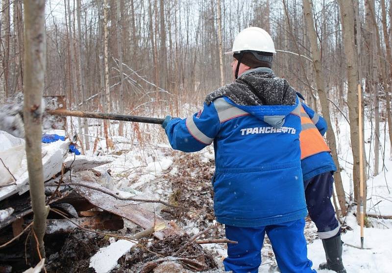 АО «Транснефть – Север» ликвидировало несанкционированную свалку в Ухтинском районе