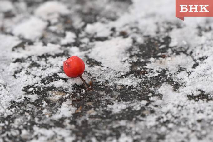 В Коми прогнозируют снег и южный ветер