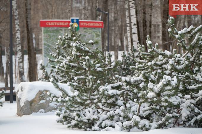 Какой будет погода в первый день 2026-го