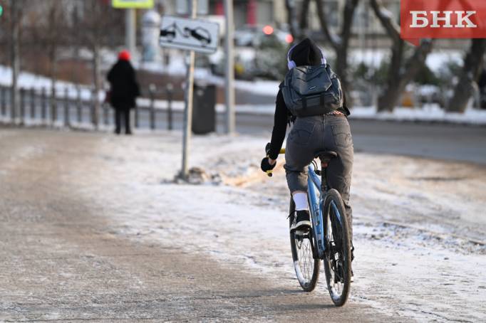 Какую подработку жители Коми считают самой привлекательной