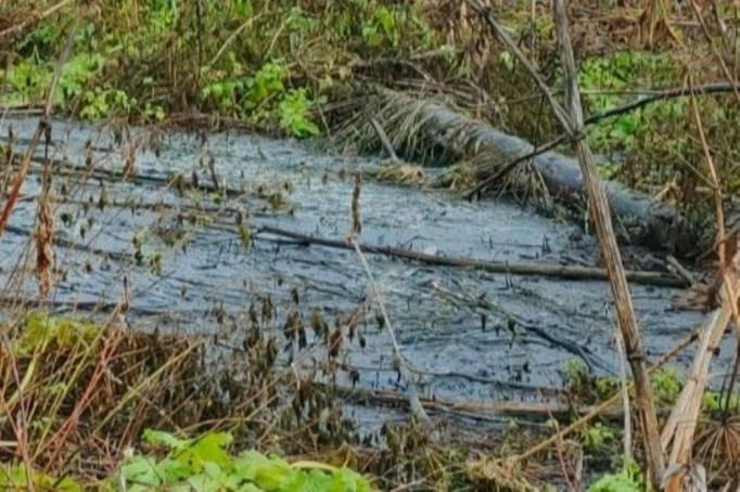 В Емве выясняют, кто виноват в загрязнении почв стоками