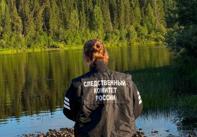 Ухтинского пенсионера будут судить за гибель ребенка на реке