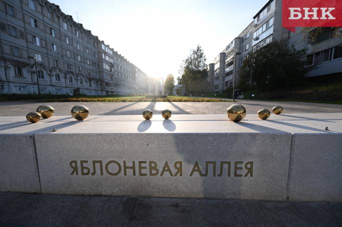 Подрядчик потребовал от мэрии Сыктывкара 2 миллиона рублей за привезенные для Яблоневой аллеи саженцы