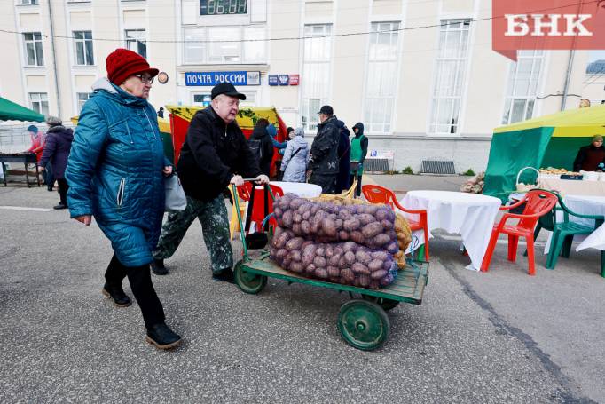 Продовольственная дефляция в Коми: упали цены на овощи и фрукты