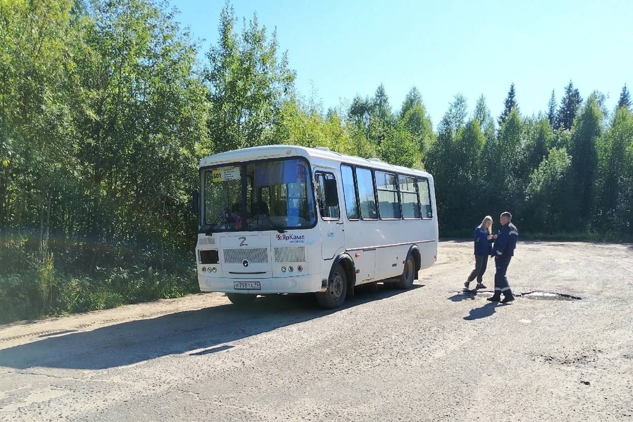puchkoma-1.jpg puchkoma-1.jpg