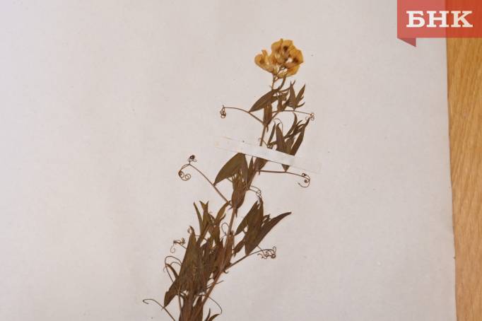 Z06_0071.jpg Z06_0071.jpg