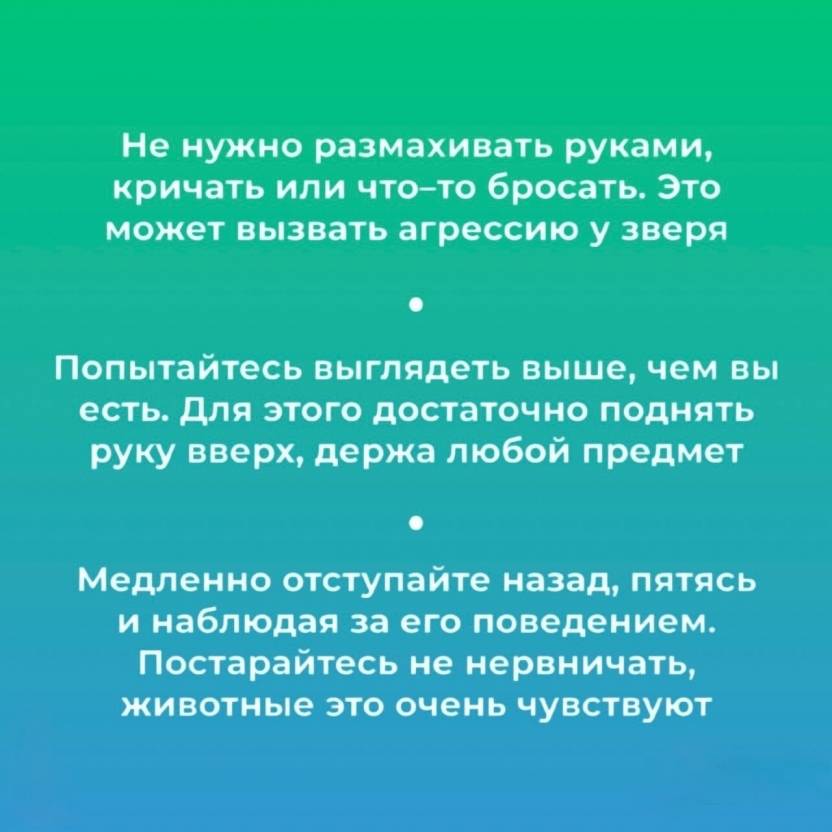 sjaH0qIy7VWgUwwOc0T3FEp0HuwDaWkqNcVOm_nJwXpV30A1ooLrTL0XlWzfUoDbZM7JxYeysrFGznu5NhY35Tnm.jpg sjaH0qIy7VWgUwwOc0T3FEp0HuwDaWkqNcVOm_nJwXpV30A1ooLrTL0XlWzfUoDbZM7JxYeysrFGznu5NhY35Tnm.jpg